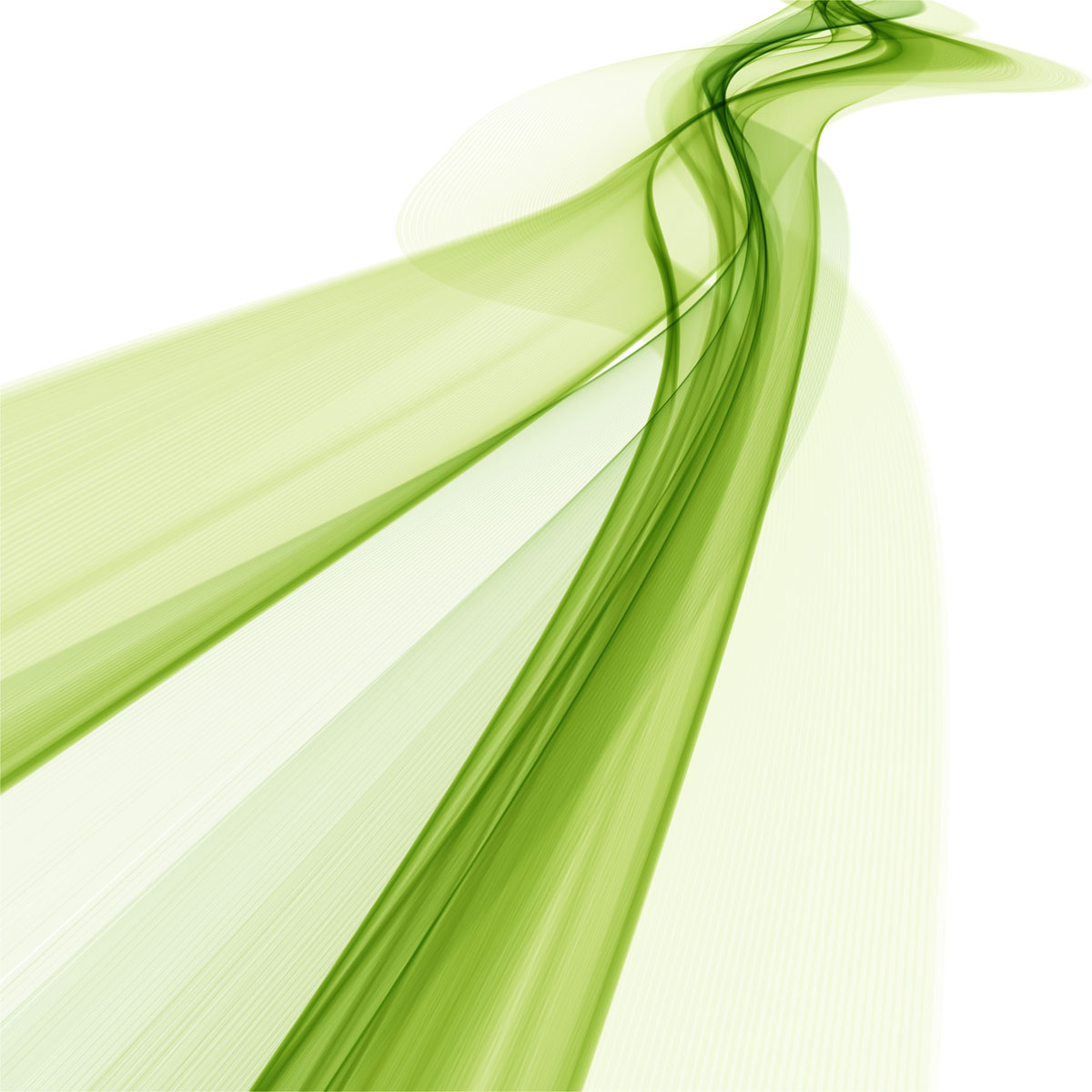 cover-image